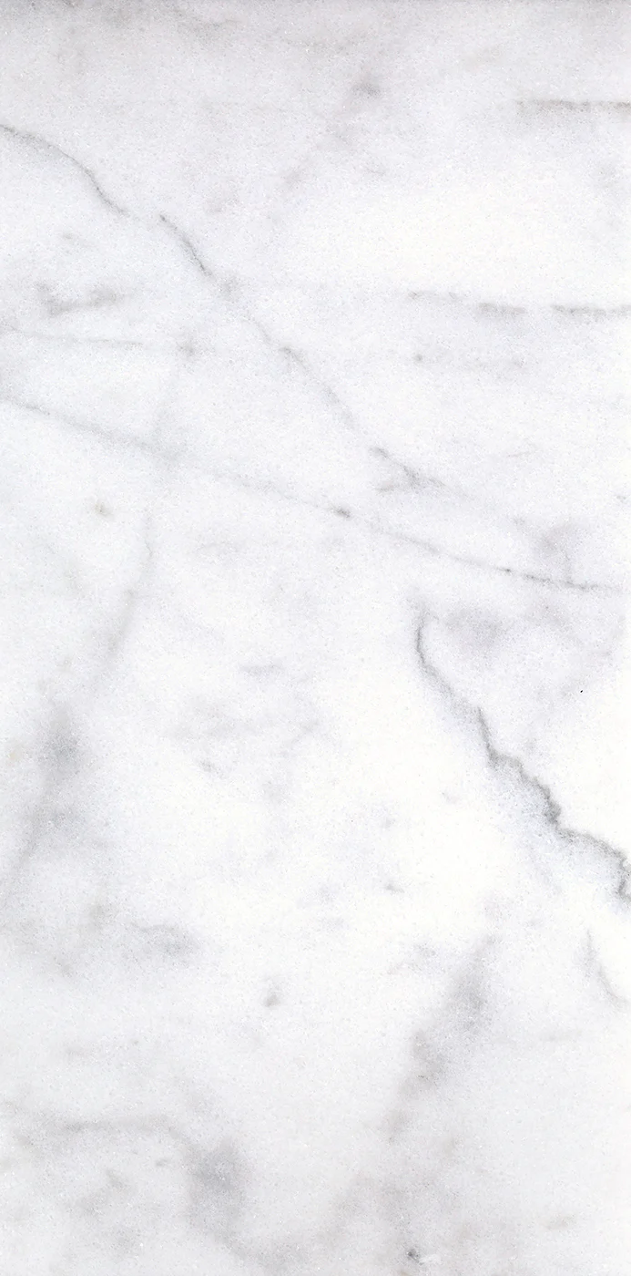 Carrara Bianco Honed Marble Tiles - Image 12